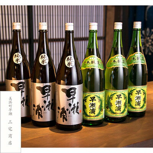 【早瀬浦】本醸造 1800ml × 3本 ＆ 純米酒 1800ml × 3本 セット【飲み比べ 日本酒 地酒 福井 美浜 早瀬 フルーティ 男酒 硬水 ミネラル 希少 ご褒美 家飲み】[m16-e004]