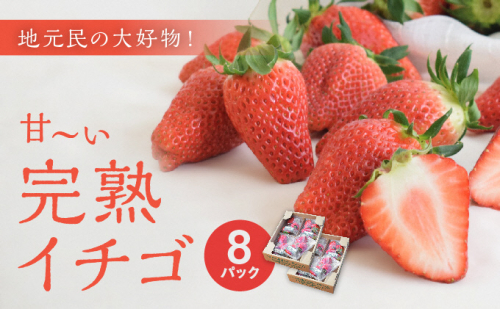 地元民の大好物「ありなしファーム」の甘～い完熟イチゴ(8パック) 果物類 いちご 苺 フルーツ