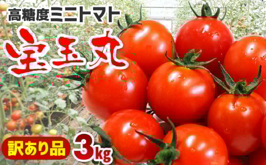 【訳あり】高糖度ミニトマト「宝玉丸」3kg【期間・数量限定】