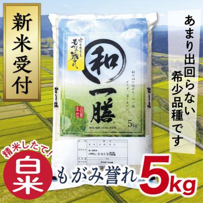 ふるさと納税 最上町 【令和7年産先行受付】山形県産もがみ誉れ5kg(白米)
