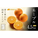 【ふるさと納税】ネーブル 4.5kg (大小混合)《赤秀》和歌山県より農園直送！まごころ産直みかん　香り豊かな国産オレンジ【北海道・沖縄県・一部離島 配送不可】 | フルーツ 果物 食品 ギフト 贈り物 人気 おすすめ 送料無料