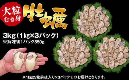 C01-H31 大粒むき身牡蠣 3kg（約20～30粒×3袋）