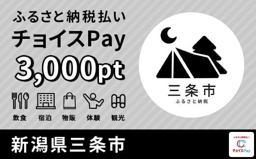 
三条市チョイスPay 3,000pt（1pt＝1円）会員限定のお礼の品【010P111】【会員限定のお礼の品】
