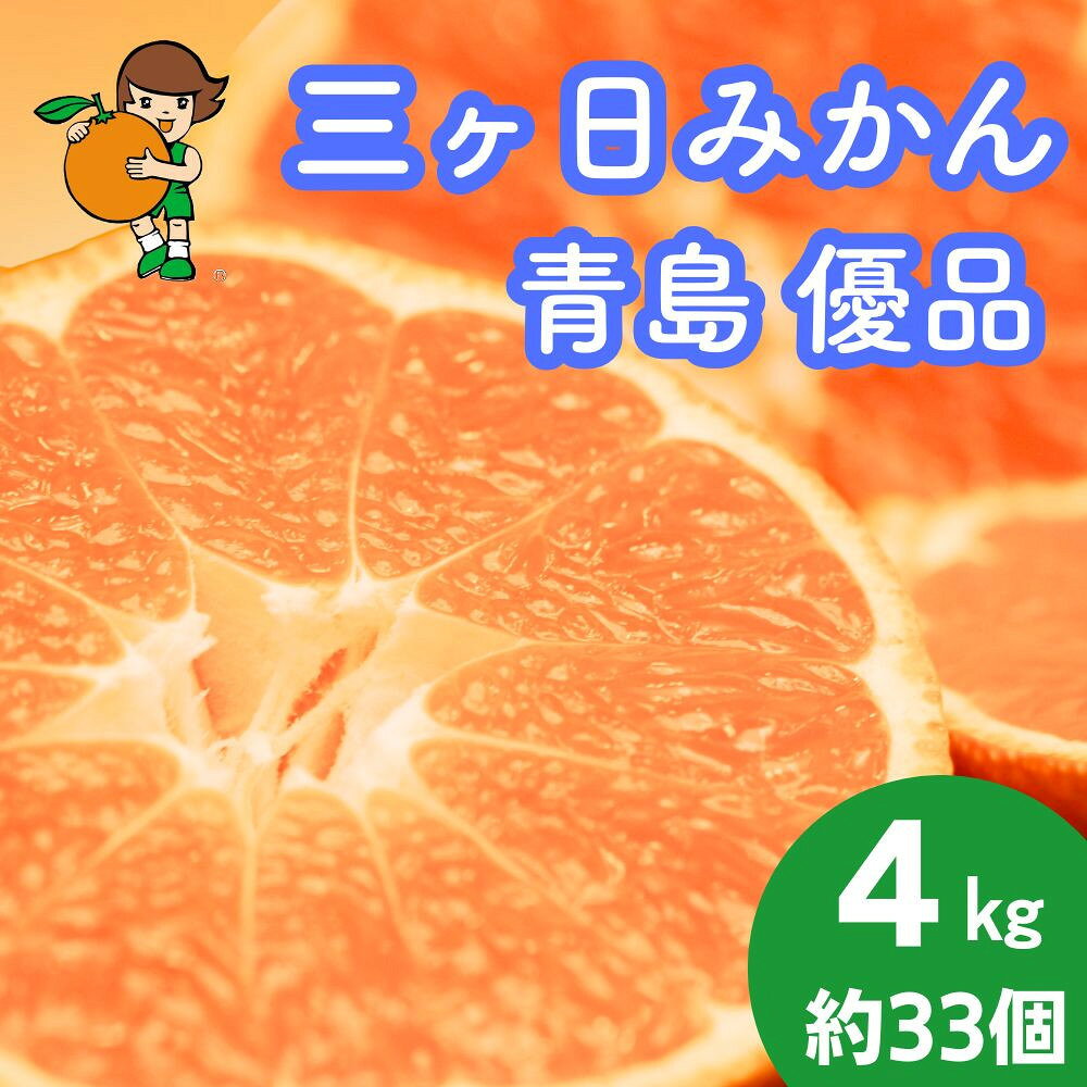 【ふるさと納税】三ヶ日みかん（青島温州）4kg【2027年1月以降順次発送】 | 果物 フルーツ 蜜柑 ミカン 静岡産 名産 特産 名物 旬 食品 人気 おすすめ 送料無料