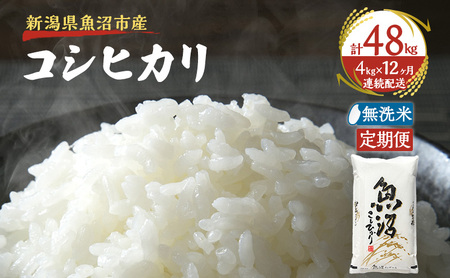 【定期便：雪国逸品    無洗米4kg×12ヶ月】越後魚沼郷    魚沼産コシヒカリ