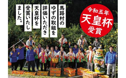 馬路村ポン酢2本組（ゆずの村・1000人の村）×６回 【定期便】ぽん酢 ユズ ポン酢 柚子 柚子ポン酢 ゆず ゆずぽん酢 調味料 有機 オーガニック 無添加 ドレッシング 鍋 水炊き 無添加 産地直送