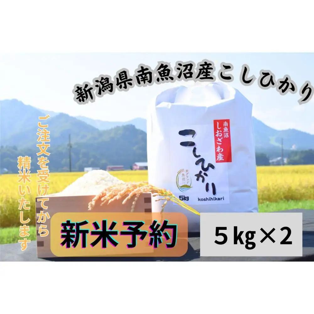 【令和8年・新米予約】新潟県南魚沼市の豊かな自然が育んだ、極上のコシヒカリ　10kg【2026年9月下旬より1ヶ月以内に順次発送予定】｜コシヒカリ