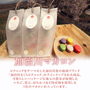 マカロン イチジク 枝豆 桜 苺 はちみつ レモン 苺 枝豆 マカロン 洋菓子 菓子 マカロン スイーツ 甘味 新潟 新発田 sinpo002