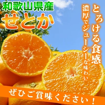 G7354_【2027年先行予約】【家庭用 訳あり】 とろける食感！