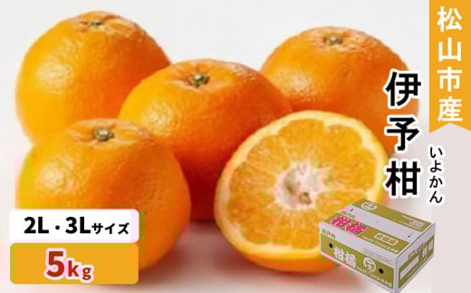 松山市産 伊予柑 秀品 2L～3Lサイズ （5kg）愛媛産  国産 愛媛みかん 愛媛蜜柑 愛媛ミカン みかん ミカン mikan 蜜柑 柑橘 フルーツ 果物 くだもの お取り寄せ 産地直送 数量限定 人気 おすすめ 愛媛県 松山市 フジ・アグリフーズ