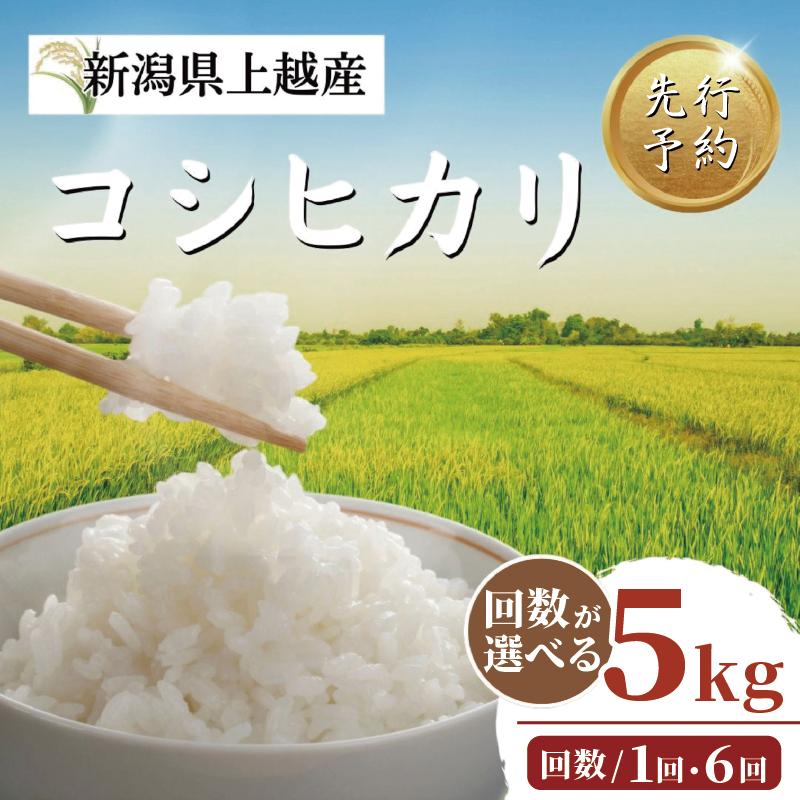 【ふるさと納税】【先行予約】令和7年 新米 新潟上越産コシヒカリ 5kg 配送回数が選べる 新潟 米 新潟県 こしひかり 限定　お届け：毎月1回10日(土日/祝日を除く)に発送いたします。