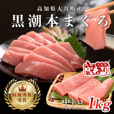 ふるさと納税 大月町 【訳アリ】養殖本マグロ 中トロ 1kg 黒潮本まぐろ 刺身用 小分け柵 最優秀賞受賞 高知県大月町