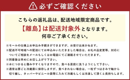 【 3回定期便 】 大粒ぶどうの詰合せ 約2kg×3回 計約6kg シャインマスカット マスカット ブドウ ぶどう 葡萄 果物 くだもの ピオーネ クイーンニーナ 定期便 詰合せ 大粒 【 2026年