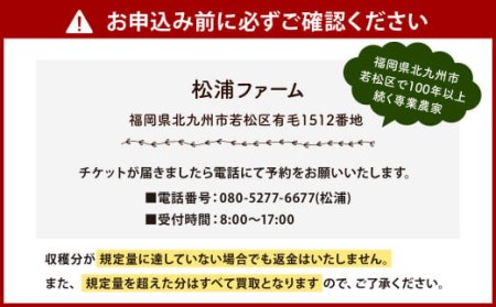 北九州市 野菜収穫体験 1家族(目安：2～4人) 【収穫可能期間 4月～8月 】 野菜 夏野菜 農家 農業体験 休日 体験 畑 収穫 チケット 福岡県 【土曜日限定】