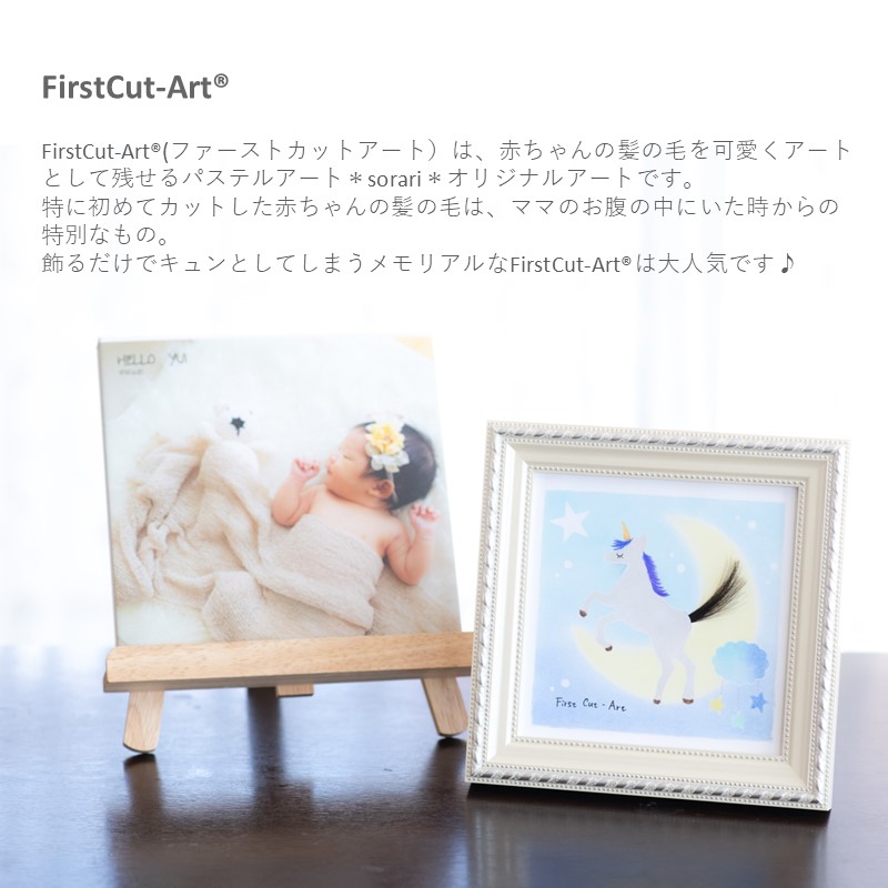 ファーストカットアート?《 ファーストカット 赤ちゃん 髪の毛 記念品 記念 ギフト 贈り物 プレゼント 贈物 出産祝い 》【2403N12001】