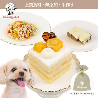 ふるさと納税 佐野市 【マンゴーのショートケーキセット】犬のケーキ・ごはん 無添加 手作り Idea dog chef