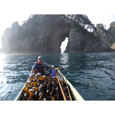 ふるさと納税 田野畑村 三陸田野畑村北山崎の天然黒昆布セット(天然黒昆布2袋・早煮昆布2袋　合計4袋) |  | 02