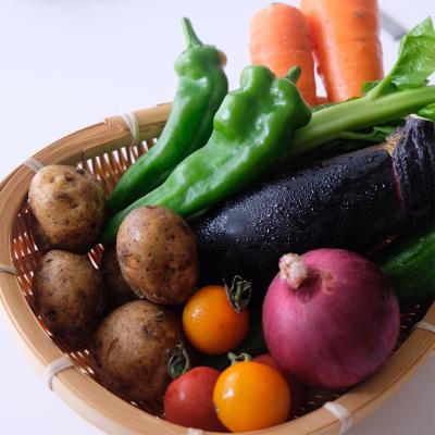 ふるさと納税 京都市 【緑のゆうき】お申込頂いた野菜の売上の1%が社会への応援に　京都産こだわりの野菜のセット |  | 01