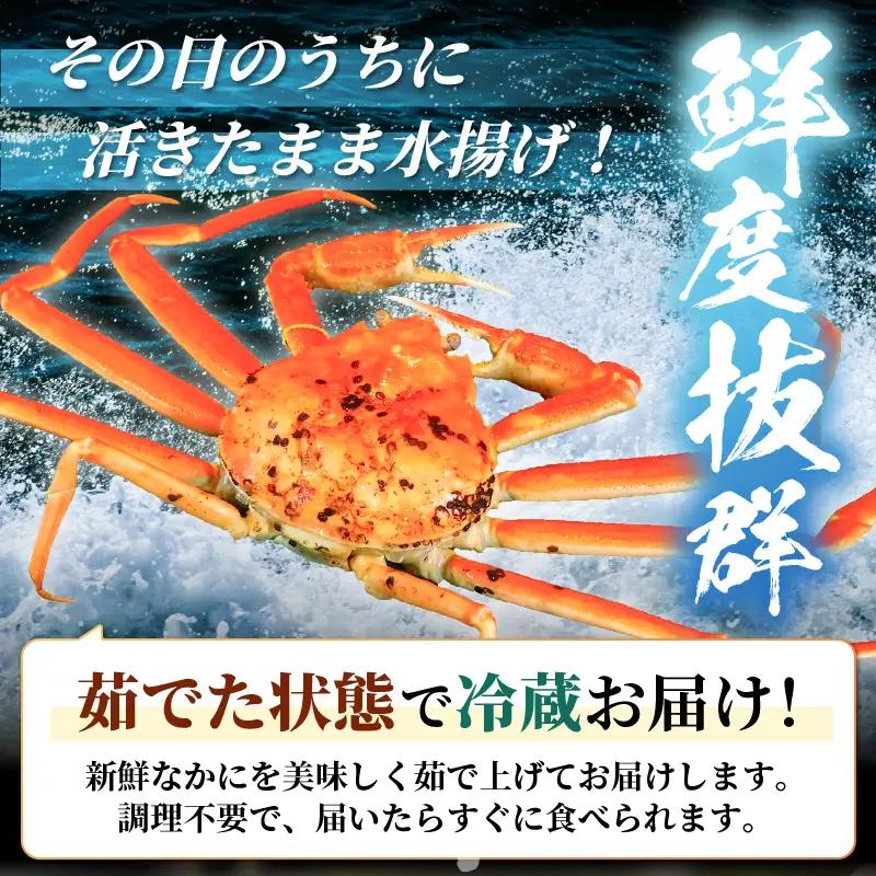 越前蟹 訳あり 茹で 越前ズワイガニ 大 3杯 脚折れ 【2月発送分】 [O-1403_02]