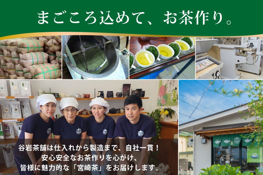 お茶 緑茶 釜炒り茶 朝霧しずく 70g×3本 [谷岩茶舗 宮崎県 日向市 452061609] セット 緑茶 やぶきた プラチナ賞 日本茶