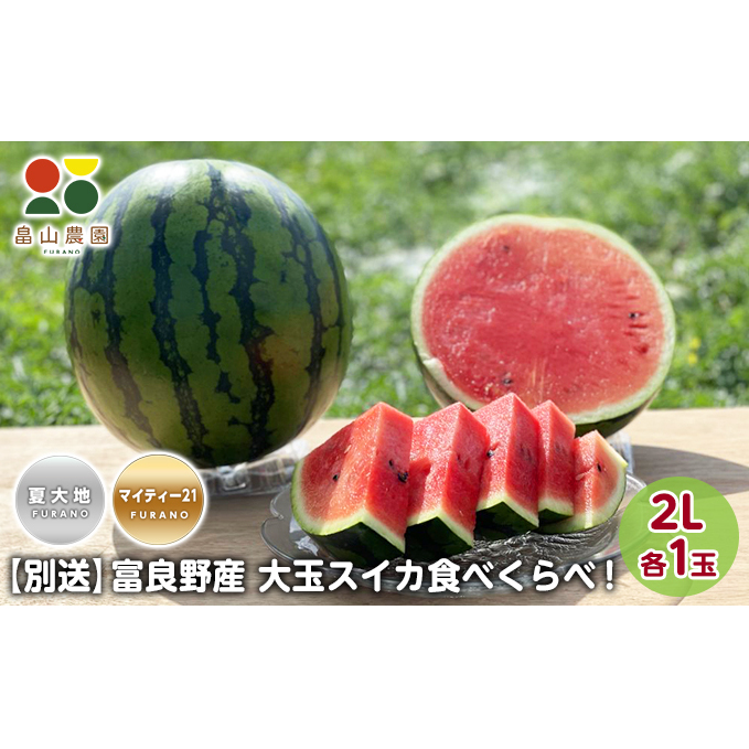 先行予約【食べ比べ】2026年夏発送 富良野産 大玉 スイカ2L 各1玉(夏大地・マイティ21) 北海道 ふらの すいか 西瓜 夏 フルーツ ふらの 甘い 糖度 大きい 大だま セット 別送  (畠山農園）
