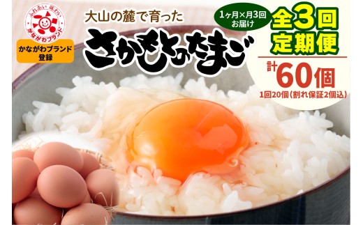 [定期便／1ヶ月×月3回] さかもとのたまご 20個 (18個＋割れ保証2個) 合計60個｜坂本養鶏 大山の麓で育ったさかもとのたまご 赤玉卵 玉子 鶏卵 伊勢原市 赤玉卵 玉子 生卵 国産 TKG タマゴ 新鮮 大山 鶏 ギフト 安心 安全 親子丼 卵焼き 目玉焼き お菓子 [1332]