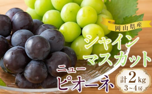 ぶどう 2026年 岡山県産 シャインマスカット・ピオーネ 2種 詰め合わせ 計2kg（3～4房）ぶどう園AC | フルーツ 果物 くだもの ぶどう ブドウ シャインマスカット ピオーネ 国産 岡山県産 食品 人気 おすすめ  送料無料 ギフト 贈り物 贈答品 プレゼント ぶどう ブドウ シャインマスカット ピオーネ