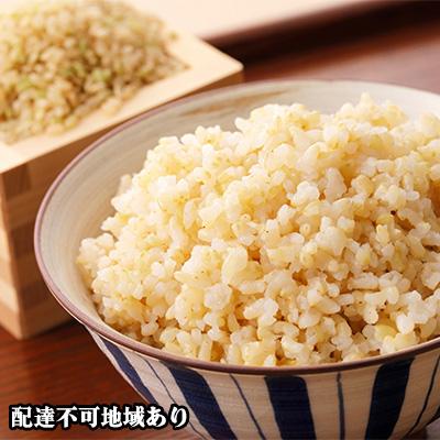 ふるさと納税 瀬戸内市 きぬむすめ 玄米 15kg お米 岡山 [No.5735-0900]