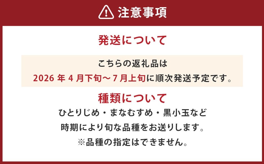 小玉西瓜 2玉入 1玉あたり1.5kg以上