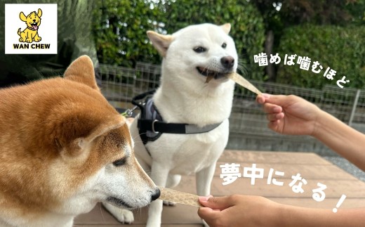 国産シカ皮おやつ WAN CHEW Sheet（シート）タイプ 3袋 合計60グラム | ワンチュウ 犬 おやつ 犬用おやつ 鹿皮 天然素材 国産 無添加 高タンパク コラーゲン 長持ちガム 噛むおや