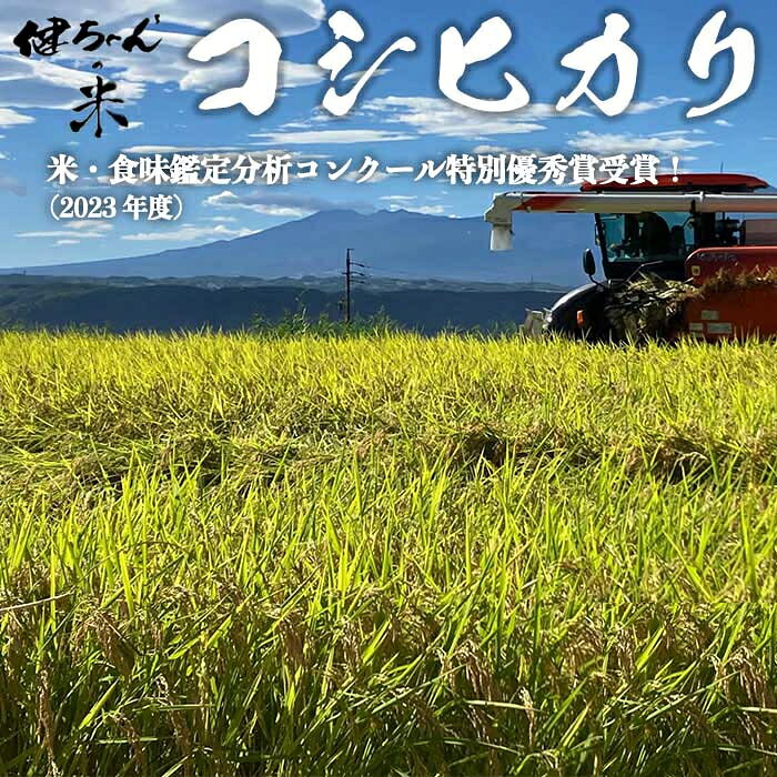 【ふるさと納税】コシヒカリ白米 米・食味鑑定分析コンクール特別優秀賞受賞！冷めても美味しい健ちゃんちの米｜ライスファーム小林