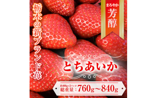 【先行予約】とちあいか 約380g～420g×2パック | いちご 栃木 とちあいか 甘い 糖度 旬 新鮮 フルーツ 果物 アレンジ スイーツ いちごジャム フルーツサンド　※離島への配送不可　※2025年1月中旬～3月下旬頃に順次発送予定