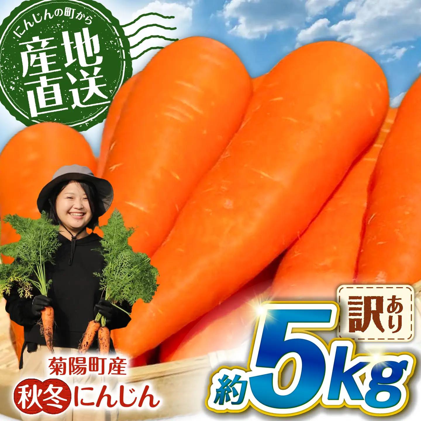 先行予約 2026年11月より順次発送 菊陽秋冬にんじん (訳あり) 約5kg / にんじん BHDL007