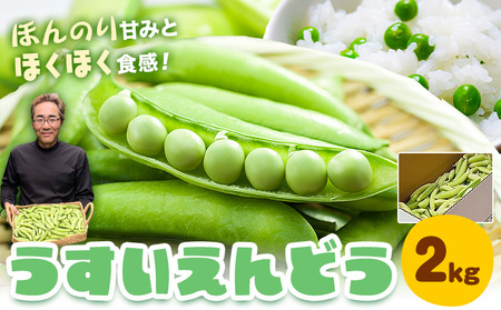 うすいえんどう 約2kg 湯川農園《1月末-5月上旬頃出荷》えんどう