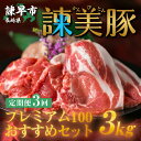 【ふるさと納税】【3回定期便】諫早平野の米で育てた諫美豚プレミアム100お勧めセット3kg / 諫美豚 豚肉 肩ロース ステーキ モモ 切り落とし ハンバーグ ロースステーキ / 諫早市 / 株式会社土井農場 [AHAD024]