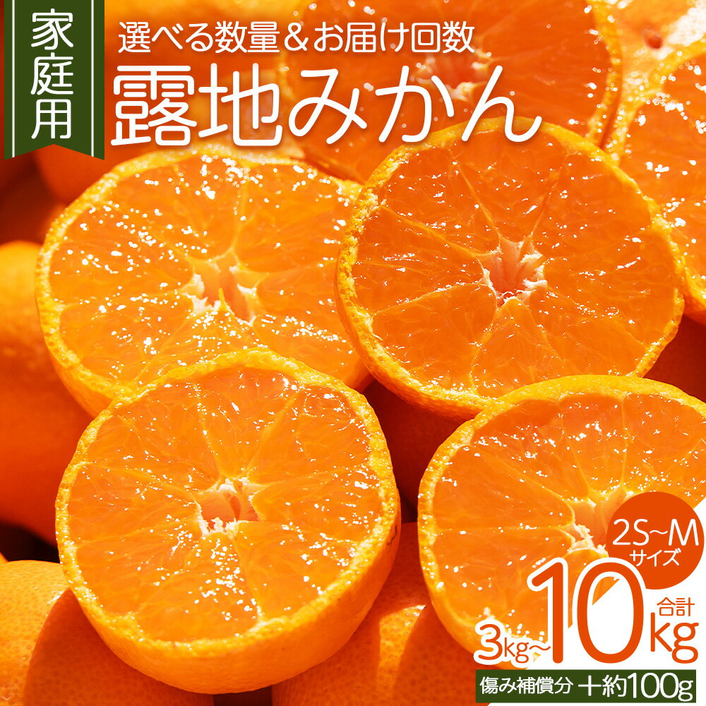 【ふるさと納税】【2026年10月下旬発送】露地みかん(2S〜Mサイズ) 3kg/5kg/10kg/3kg(2回定期便)/5kg(2回定期便) 家庭用 （傷み補償分 ＋約100g）- 選べる 小玉 ミカン 蜜柑 柑橘 フルーツ 果物 果実 青果 ご家庭用 ご自宅 訳あり 国産 5キロ 高知県 香南市【常温】 Rom-0009