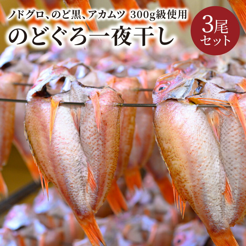 【ふるさと納税】【海鮮の匠　魚政】のどぐろ一夜干し（ノドグロ、のど黒、アカムツ）300g級使用 干し上がり後 210g以上 3尾セット 海鮮 魚介 天然塩 冷凍 干物 一夜干し 脂のり 焼き魚 高級魚 旬 旨み 凝縮 塩焼き 煮付け 濃厚 上質 脂 日本海 個包装 魚政 送料無料