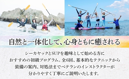 【シーカヤック＆サップを極める全6回 】パドルスポーツスタートパック  1名様 シーカヤック サップ SUP 体験 海  ガイド  無人島 波 水着 ウエットスーツ ハワイ 逗子海岸 エバーリゾート 