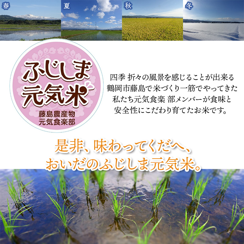 【令和7年産先行予約】特別栽培つや姫　ふじしま元気米　10kg（5kg×2）新鮮館Ａコープ藤島店