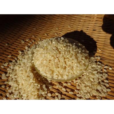 ふるさと納税 綾町 完全自然米5分つき米計2.7kg　令和7年産 |  | 01