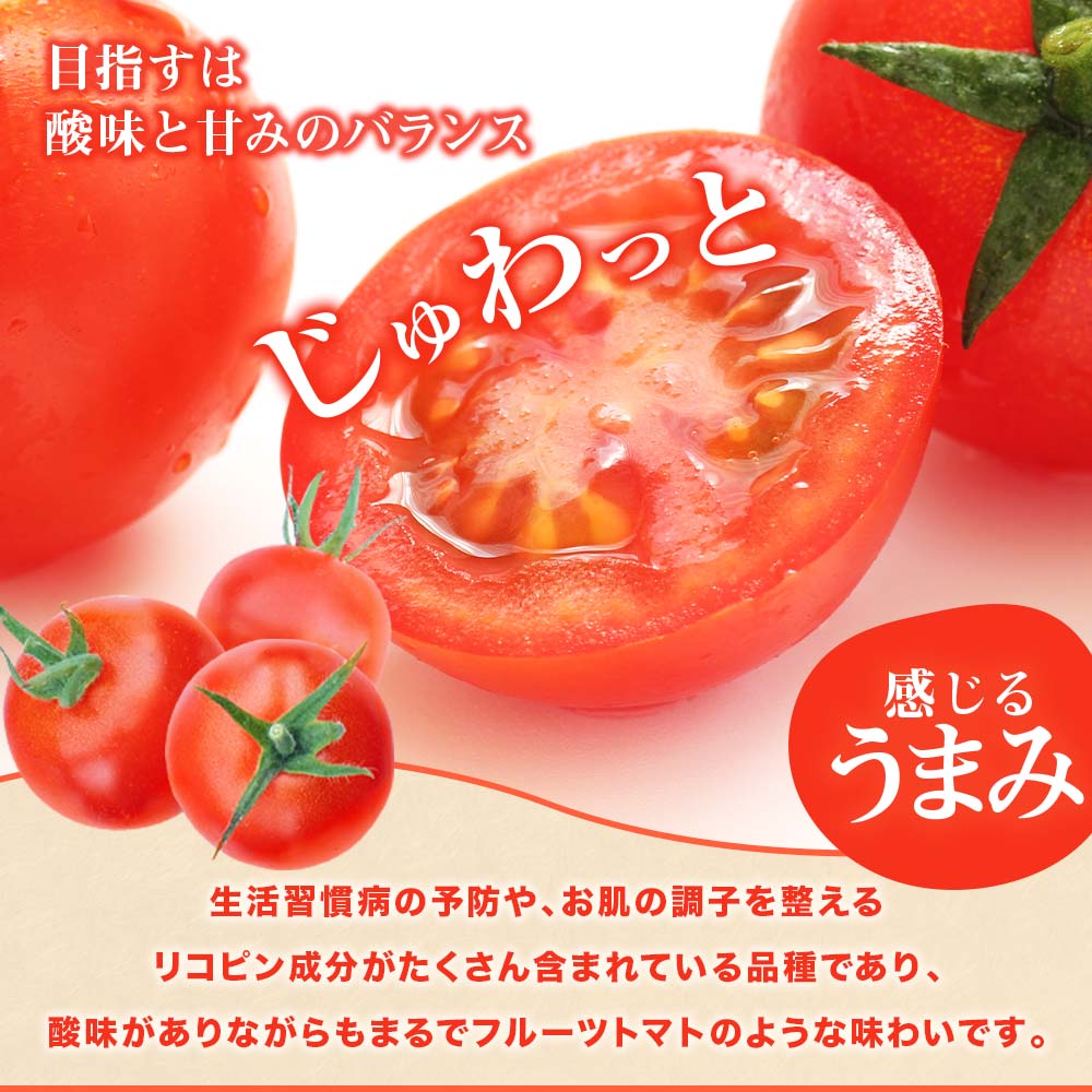 トマト魂！峯本の贅沢フルティカトマト（中玉サイズ）3kg 3キロ 　ミディトマト フルーツトマト トマト ふるさと納税 フルティカ とまと サラダ 野菜 美味しい 甘い【R01038】