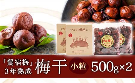 【敬老の日】徳重おばあちゃんの3年熟成小粒梅干し1kg≪9月11日～15日お届け≫_MJ-4904-KG_(都城市) 紅梅 いのちの梅干し うめぼし(500g×2) 塩分12％ 長期熟成 自家農園 お