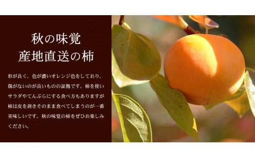 和歌山の 種なし 柿 約7.5kg【秀品：サイズ・品種おまかせ】和歌山県産/紀伊国屋文左衛門本舗　※2026年9月下旬～2026年11月下旬頃に順次発送予定(お届け日指定不可)【sutb801B】