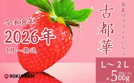 ★★2026年予約販売開始★★【2026年（令和8年）1月～発送】愛情たっぷり古都華（250g入×２パック）限定出荷 いちご 苺 イチゴ ブランド 古都華 大粒 旬 産地 直送 おすすめ 奈良県 奈良市 なら 10-205