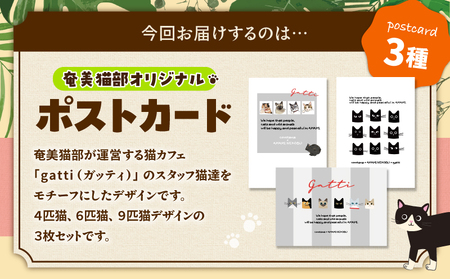 【 奄美 の 保護猫支援 （ 保護猫 フード 10日分 ）】 ＋ ポストカード 3枚 セット A071-006 お手紙 猫デザイン 3種 オリジナルポストカード 保護猫プロジェクト cafeCOVOT