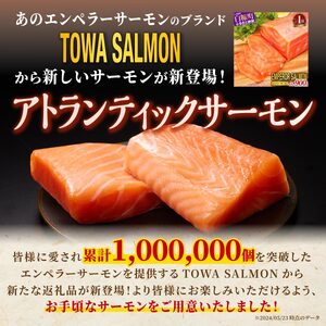【TOWA SALMON】 アトランティック サーモン 【800g】鮭 サーモン さけ シャケ しゃけ sake カルパッチョ ソテー レアステーキ 人気 高級 大満足 美味しい 贈答 生食用 刺身 