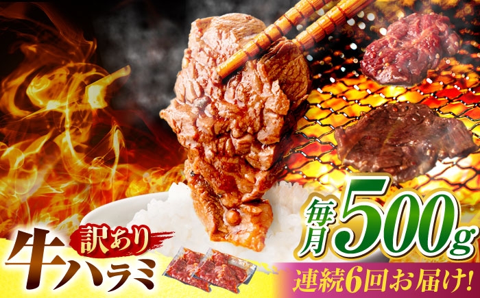 
            【6回定期便】【訳あり】味付けハラミ 500ｇ(250ｇ×2パック) / ハラミ 牛肉 焼肉 / 御嵩町 / 馬力家 [AVBO040]
          