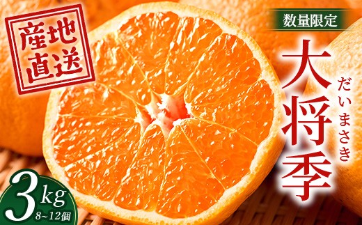 数量限定【先行予約・2025年12月～配送】大将季 約3kg (8～12個)  NT-504｜大将季 だいまさき 柑橘 みかん 果物 新鮮 産地直送 数量限定 先行予約 国産 鹿児島県 南大隅町