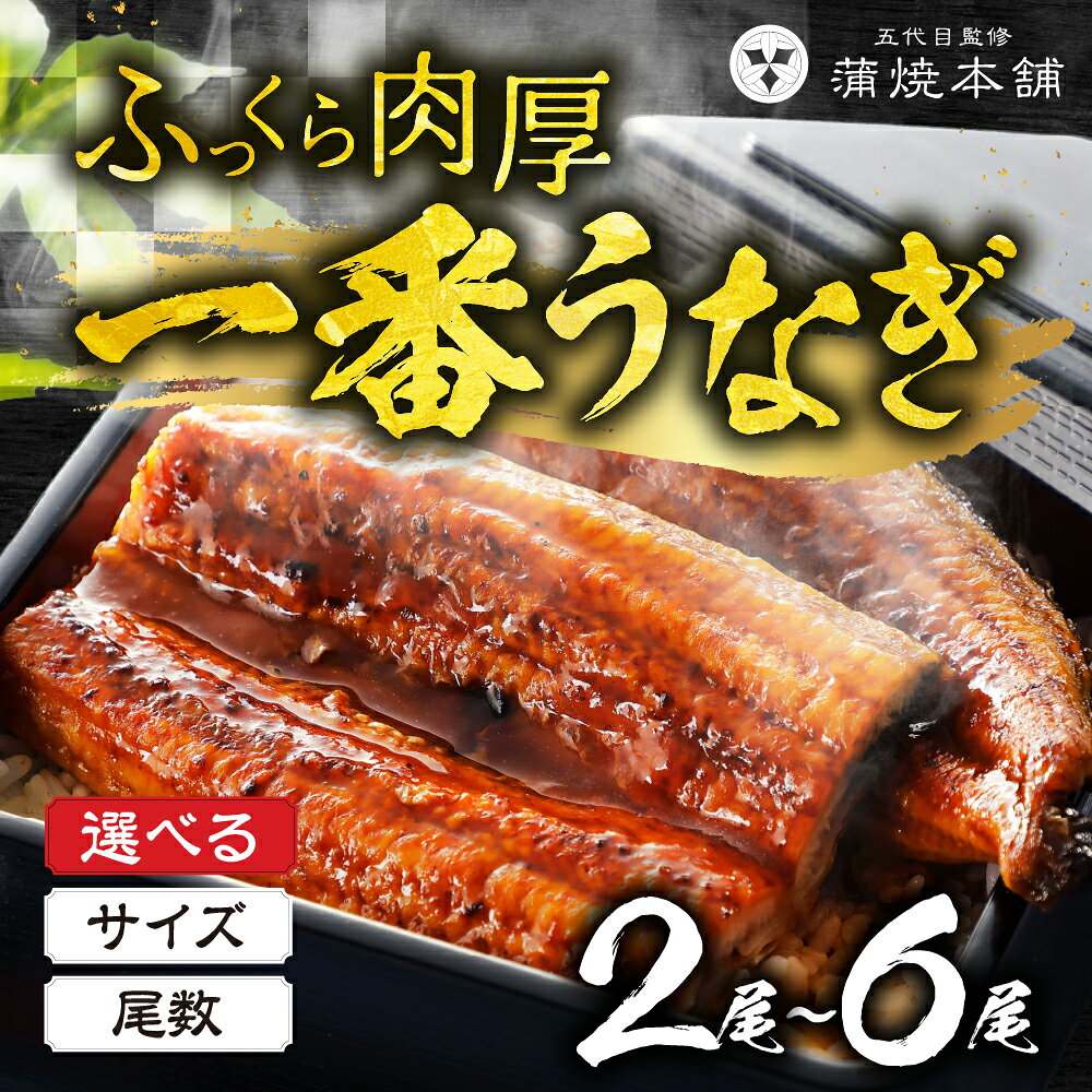 【ふるさと納税】計400g～ 一番うなぎ 蒲焼 2尾 ~ 6尾 タレ付 うなぎ unagi 鰻 国産 ウナギ 蒲焼 土用の丑の日 国産うなぎ 贅沢 ご褒美 お取り寄せ うな重 うな丼 ひつまぶし 冷凍 惣菜 お祝い 大きい 超特大 指定 指定日 指定日可 指定可 愛知県 豊橋市