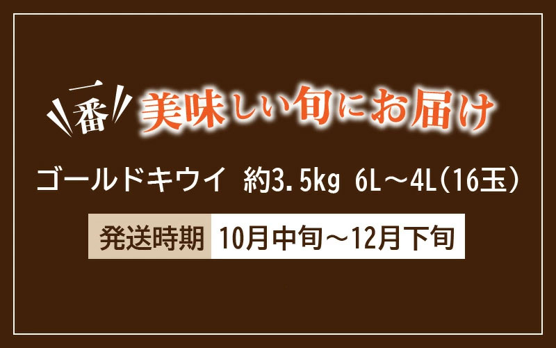 M02-0032_【ふるさと納税】【締め切り間近: 11月30日まで】【先行予約】 【配送不可地域：北海道・沖縄県・離島】さぬきゴールドキウイ 「黄様（おうさま）」 大玉約3.5kg  秋 旬